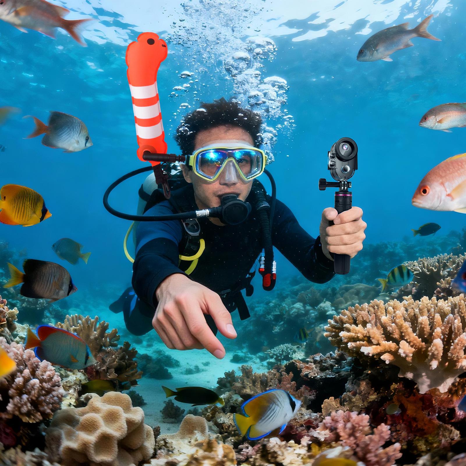 水泳ブイ折りたたみ式反射フローティングマーカーギア漫画の動物 - Pull Buoy Swimming のレビューと価格